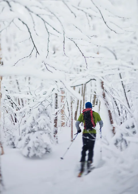 Alamy For excellent powder, Davenport recommends hitting Jay Peak in Vermont (Credit: Alamy)