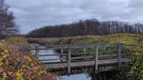 Georgeta A wooden bridge straddles a narrow river. On either side, the river banks are covered in bushes with multi-coloured leaves and wildflowers.