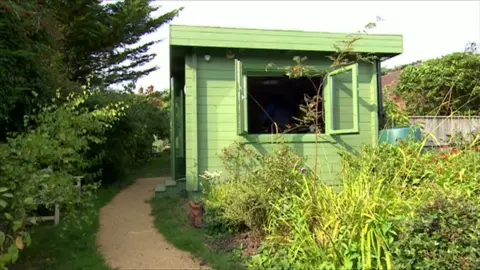 A green wooden shed in a garden, surrounded by plants and grasses