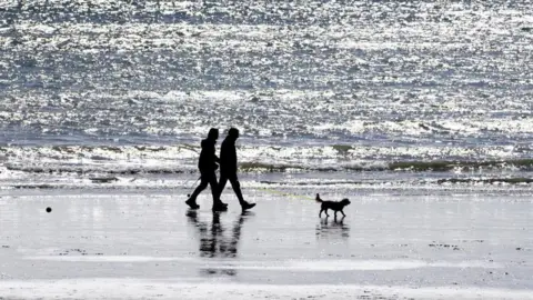 A couple with a dog on a beach