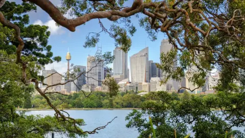 Sydney harbour