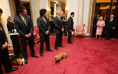 Tim Graham Picture Library/Getty  Queen Elizabeth walks through a door in Buckingham Palace, ready to meet players and officials from the New Zealand Rugby League Team, on October 16, 2007. Two dogs have walked into the room ahead of her - a corgi and a dorgi