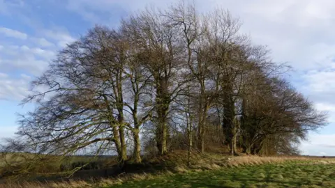 East Kennett long barrow