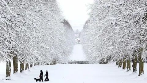 Getty Images Snow covers the trees and grass as two people walk a dog across the estate. Two rows of trees are on each side of the the photo.