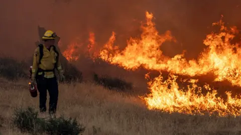 A firefighter battles the Thompson wildfire in a canyon near Oroville, California, US, on 2 July 2024