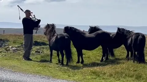 Bagpiper and ponies