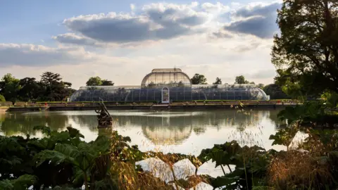 Wide shot of the pond in front of Kew's Palm House as the sun rises