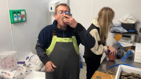 Oyster farmer Winston Brown eating an oyster from its shell in white oyster packing plant room.