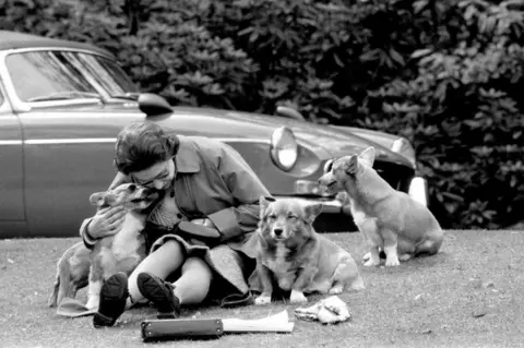 PA Media The Queen, sitting on a grassy bank with the corgis, at Virginia Water to watch competitors, including Prince Philip in the Marathon of the European Driving Championship, part of the Royal Windsor Horse Show, 1973