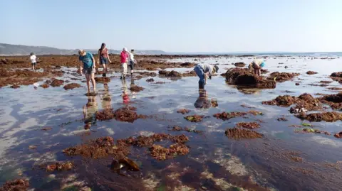 Matt Slater, CWT Seven volunteers in wellington boots or barefoot stand among the rockpools searching for wildlife, their feet surrounded by sea, seaweed and rocks. 