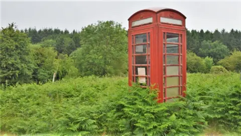 An old red telephone box in the middle of a field of ferns. The greenery has become overgrown and is reaching half way up the phone box to the handle. The Perspex panes are clouded and mouldy. The red paint is chipped and the panel at the top which reads 'Telephone' is barely legible. 