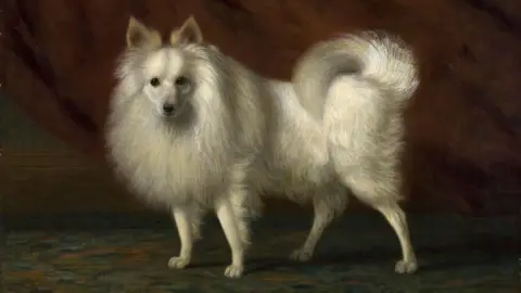 A fluffy white dog painted oil on canvas in 1883. The painting is called The White Dog and is by the artist Vivian Crome. 