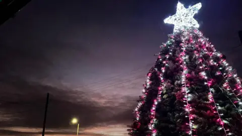 BBC Weather Watchers/Out-n-about A large Christmas tree with lights and a sunset behind