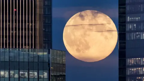 The Hunter's supermoon is seen shining brightly between two buildings, as the moon shines through London's skyline on 17 OCtober