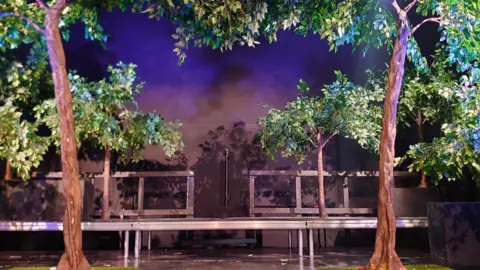 Four trees on a stage - two in the foreground and two in the background. They have brown trunks and deciduous green leaves.