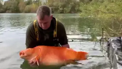 Andy Hackett returns Carrot to the water