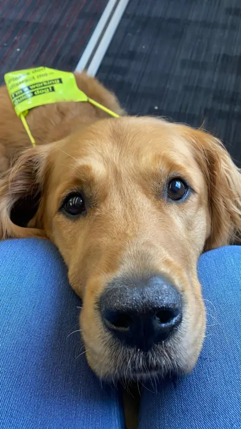 Amanda Baker Dog with his head on a lap