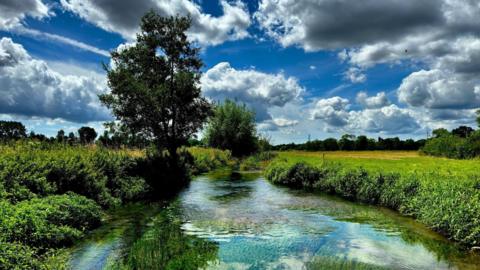 SUNDAY -  A bright blue river with green plant life has a reflection of the blue sky. On either side the banks are full of lush green vegetation. On the left bank are two large trees. Beyond you can see more trees on the horizon and a field. The sky is blue with white and grey clouds. 