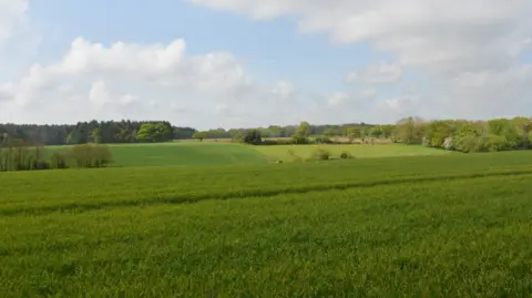 The site for the new quarry near Bentley.