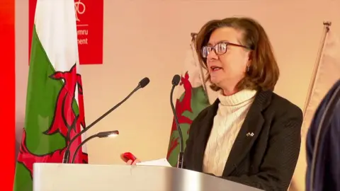 Eluned Morgan, who has brown hair and glasses and is wearing a white jumper and black blazer, stood at a podium with Welsh flags in the background 