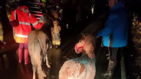 A picture of people leading two ponies away from flood waters. It is dark and the ponies are being led away. Firefighters can be seen nearby.