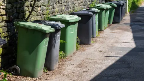 A row of green and black wheelie bins lined up along a narrow alley by a mossy stone wall.