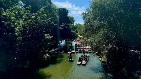 FRIDAY - Punts on the river in Oxford, the shot is framed by dark green trees. On the river there are several moored brightly coloured punts, four have passengers and are being punted on the green water. The photo is taken from above, likely from the bridge over the river.