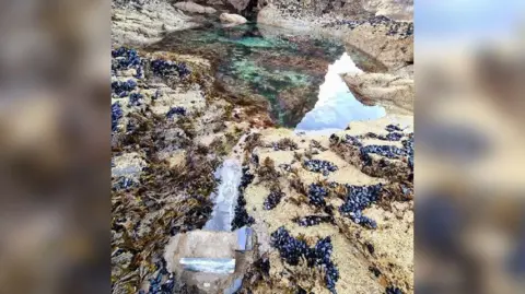 A photo which shows a concrete block with a small tunnel of water leading to a deeper pool of water. The water is green and brown and reflective. It is surrounded by sand and some seaweed on the sand which is brown and black.