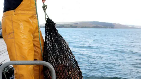 Getty Images Generic image of a person wearing yellow waterproof fishing waders, standing on a pier and holding a green rope with a black fishing net containing fish with a loch and hills in the distance