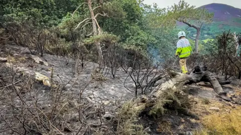 Fires crew member in a fires suit and helmet walking through charred brush