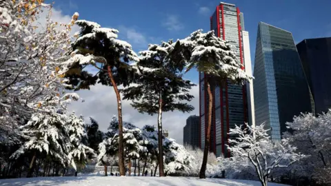 Chung Sung-Jun/Getty Images Snow-covered trees stand in front of skyscrapers in Yeouido Park.