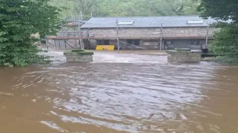 brown water surrounds a stone building in forest