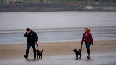 PA Media Dog walkers on the beach at Weston-Super-Mare