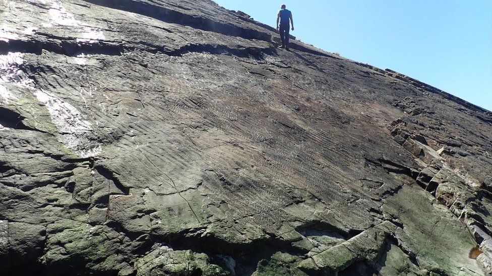 man walking on cliff with fossils