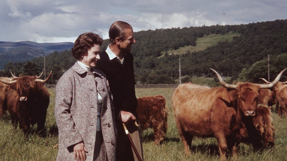 Queen Elizabeth and Prince Philip in a field with some Highland cattle at Balmoral in 1972