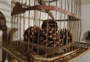 Essential Oil Scented Pine Cones