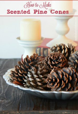 How to Make Scented Pine Cones