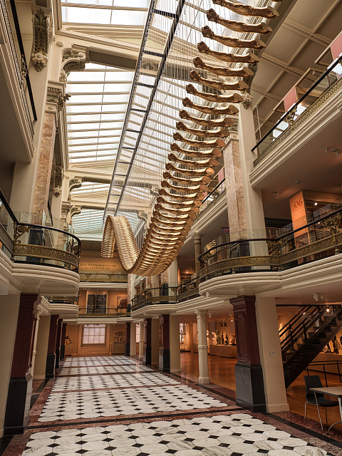 Glenn Kaino, Bridge, 2013-2014, fiberglass, steel, wire and gold paint, Smithsonian American Art Museum, Gift of the Smithsonian Secretary and the Smithsonian National Board and museum purchase through the Luisita L. and Franz H. Denghausen Endowment, 2022.34, © 2013-2014, Glenn Kaino