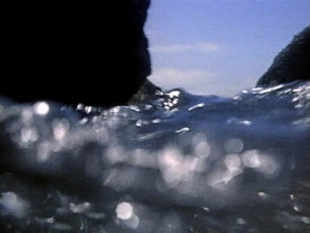 Barbara Hammer, Pond & Waterfall, 1982, 16mm film transferred to video, color, silent; 14:53 minutes, Smithsonian American Art Museum, Gift of Richard Chang, 2023.4.2