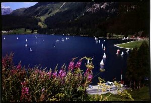 Davos: Davos See, Vordergrund rote Blumen und Regatta