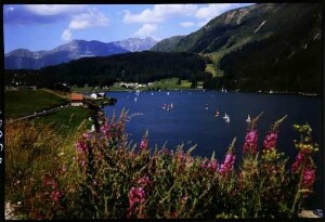 Davos: Davos See, Vordergrund rote Blumen und Regatta