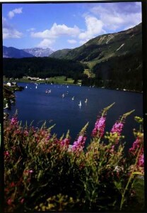 Davos: Davos See, Vordergrund rote Blumen und Regatta