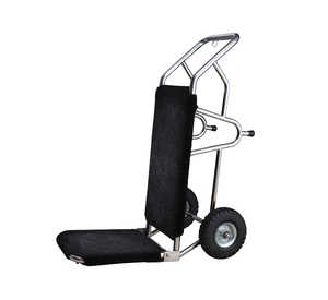 Black and silver Hand Luggage Trolley