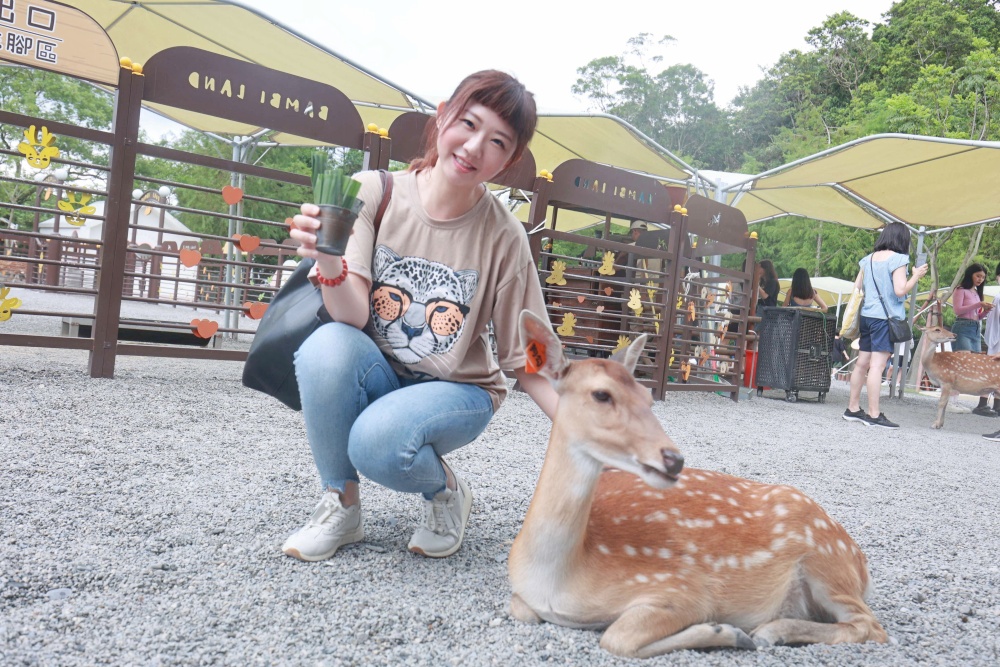 宜蘭斑比山丘Bambi Land｜冬山親子景點必訪小奈良餵食鹿鹿好療癒，鹿鹿抽愛情籤詩～好拍也好玩！