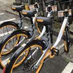 「來一台拖一台！」 台中市交通局：oBike是打著共享口號的租車公司