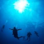 水肺潛水和自由潛水差在哪？資深教練分享3個潛入海裡的方法，想下潛不再害怕