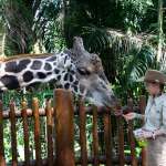 這世界需要更多的動物園嗎？「澳洲最大」雪梨動物園開幕，激起各方辯論