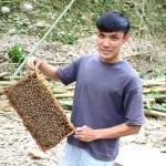 昆蟲系男孩變身蜂農，尋蜜源、躲農藥，林岳陞遊牧八年，經濟自主自由