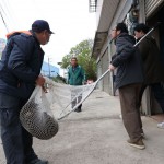 狒狒遺體送往北市動物園檢驗！農業局突改口認「有看到獵人射擊」　還原圍捕全過程