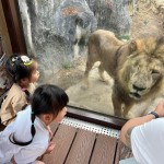 打造動物友善之地！壽山動物園 兼具動保、生命教育 破50萬參觀人次